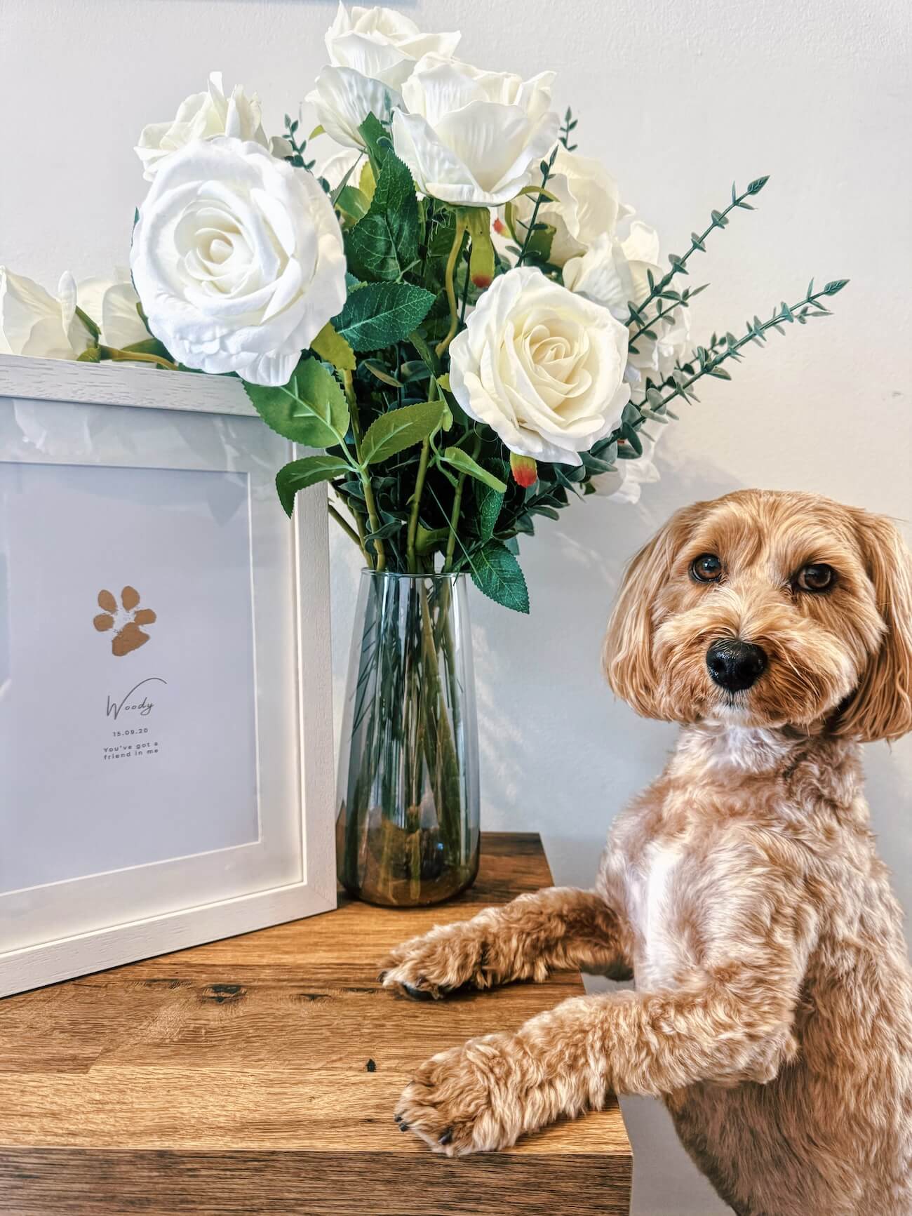 Foiled Pet Paw Print Artwork, Kit Included