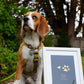 Foiled Pet Paw Print Artwork, Kit Included